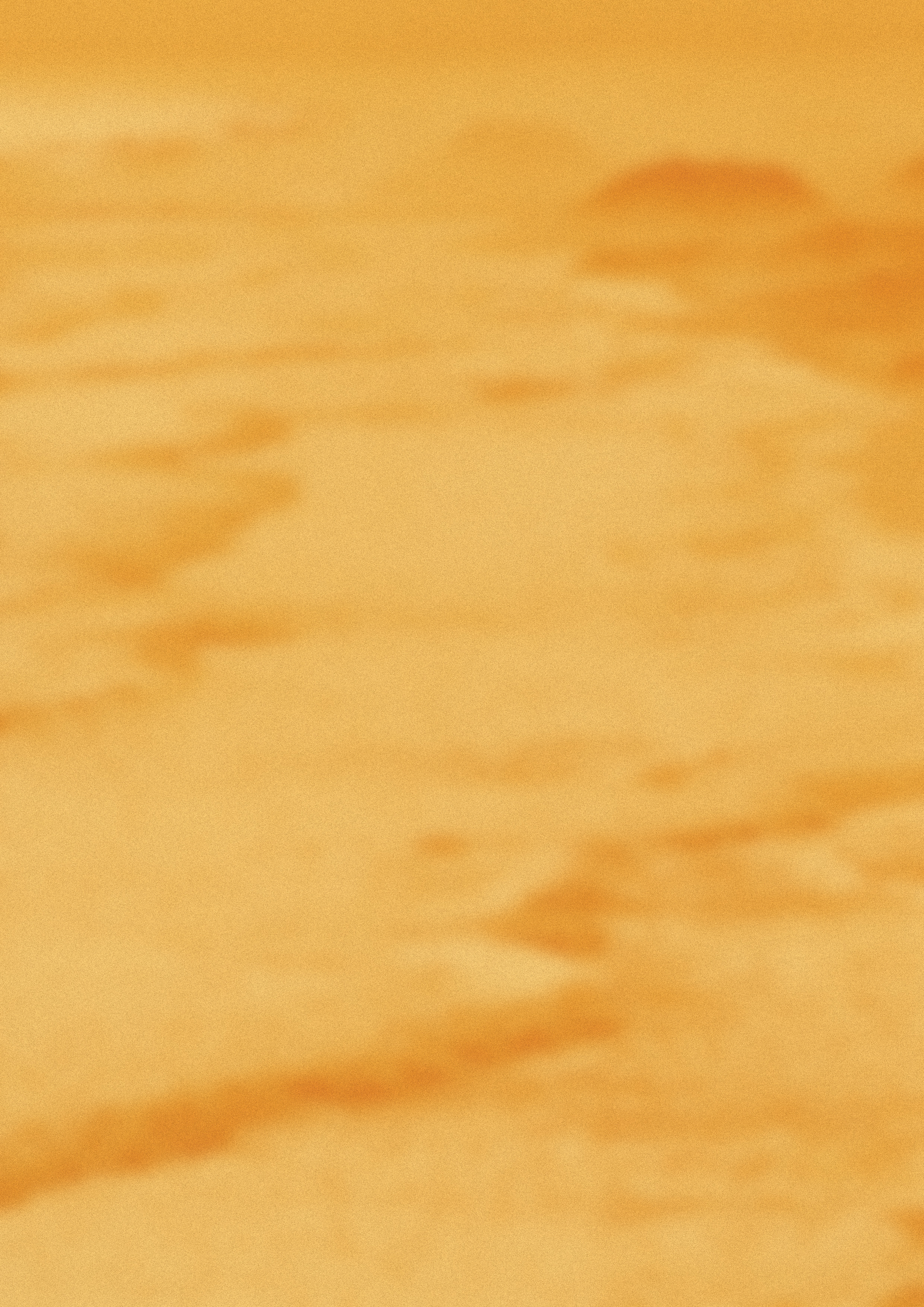 Project Introduction