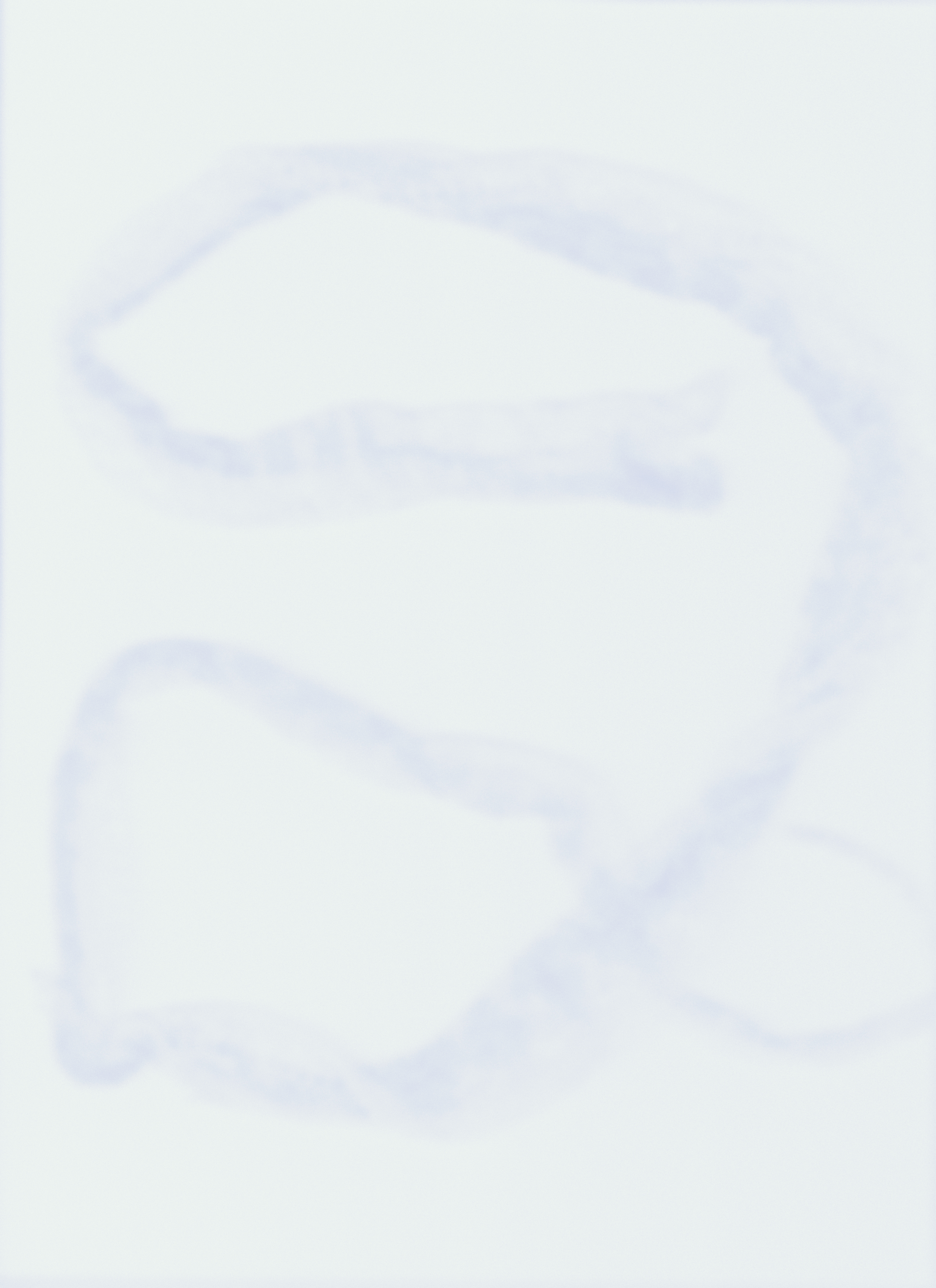 Project Introduction