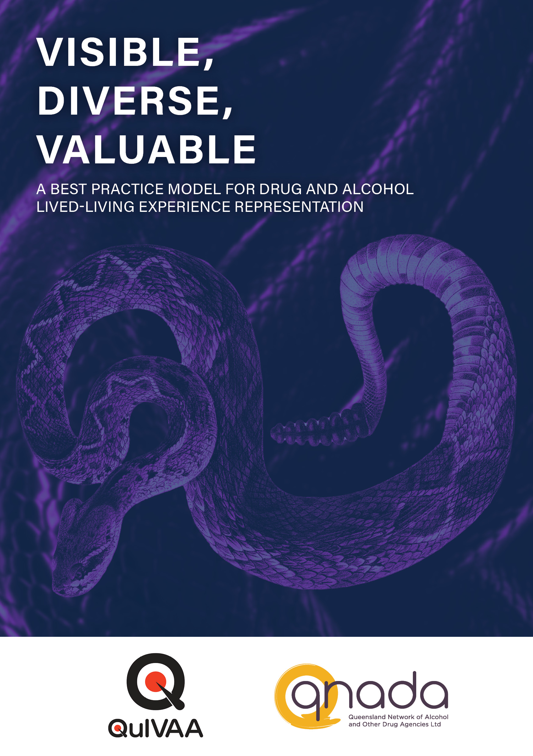 Representation Guide Cover